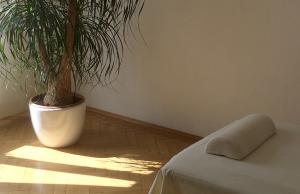 rolfing birgit g kube bildergalerie 01